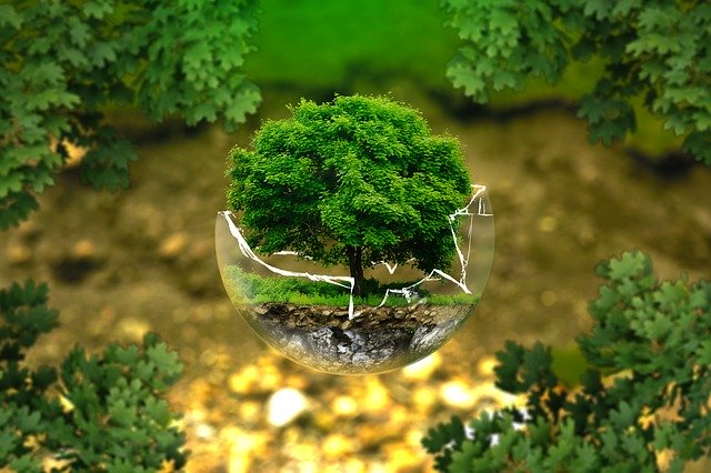 Saving Earth through terraforming