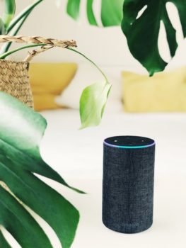 Smart Assistants