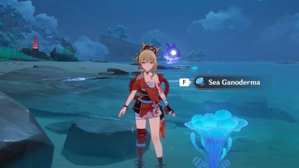 Sea Ganoderma